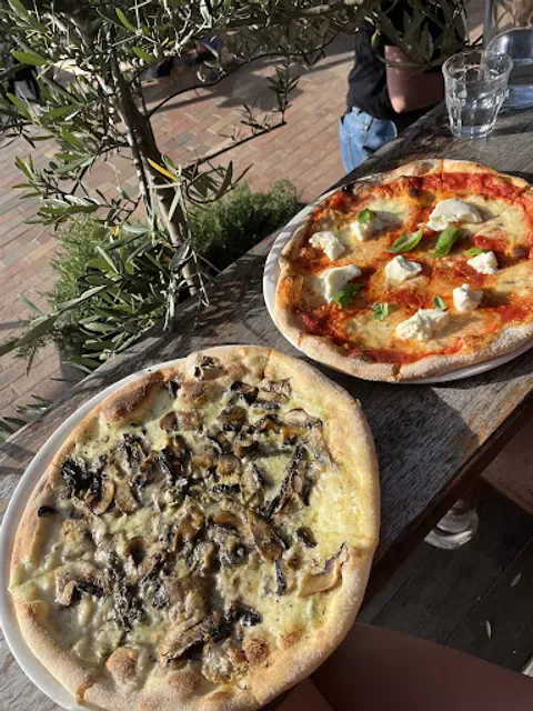 Volpino Pizzeria and Wine Bar