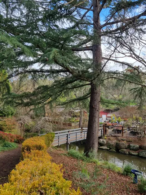 Warran Glen Cafe
