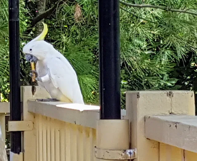 Warrandyte Stonehouse Cafe