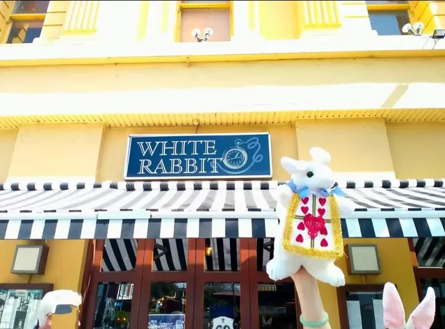White Rabbit Restaurant Brighton