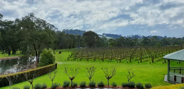 Wild Cattle Creek Estate pm