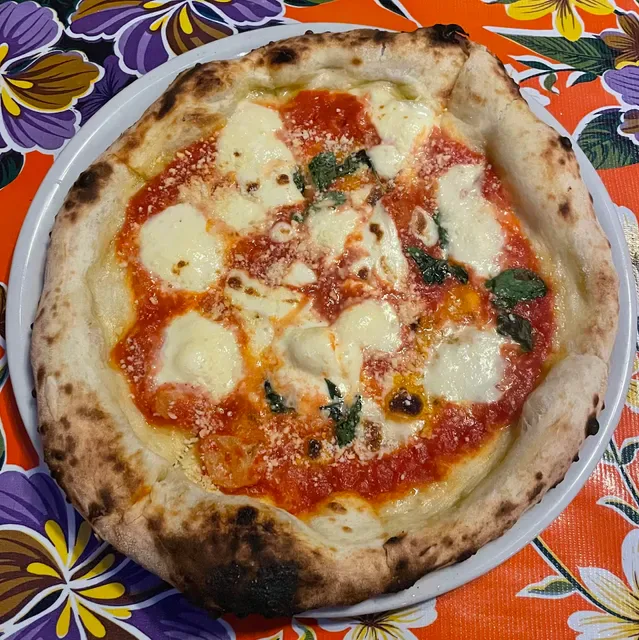 Wolf and Swill