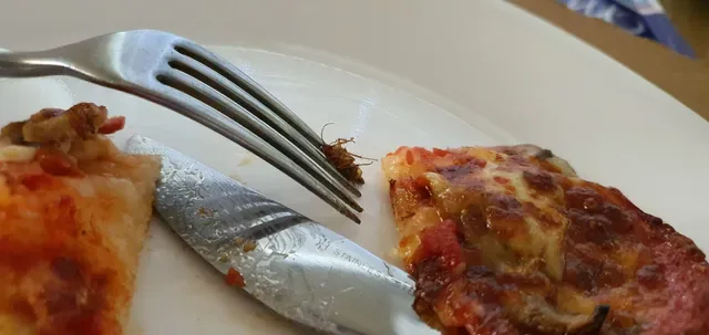 Xpress Gourmet Pizza & Pasta