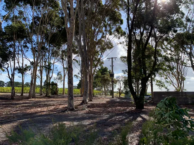 Yabby Lake Vineyard