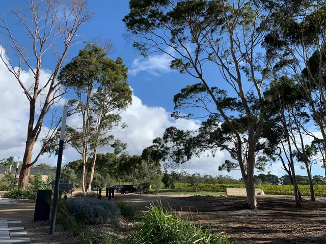 Yabby Lake Vineyard