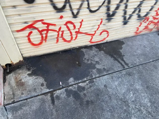 Yakamoz