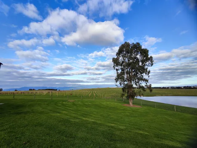 Zonzo Estate Yarra Valley