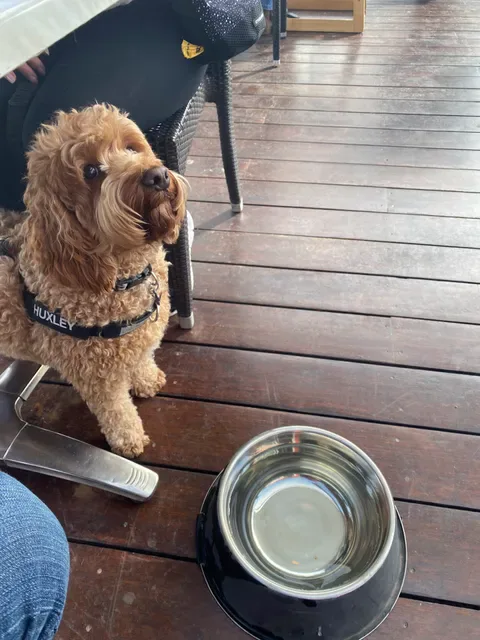 Dockside Cafe