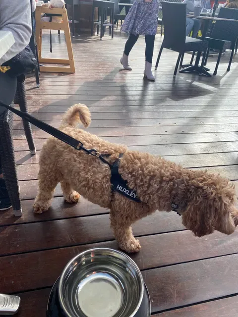 Dockside Cafe