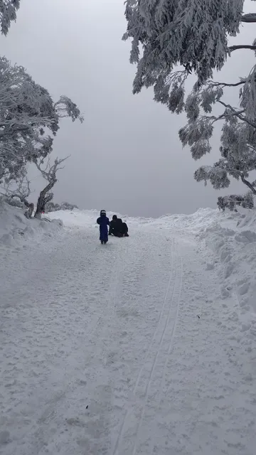 Ski Club of Victoria