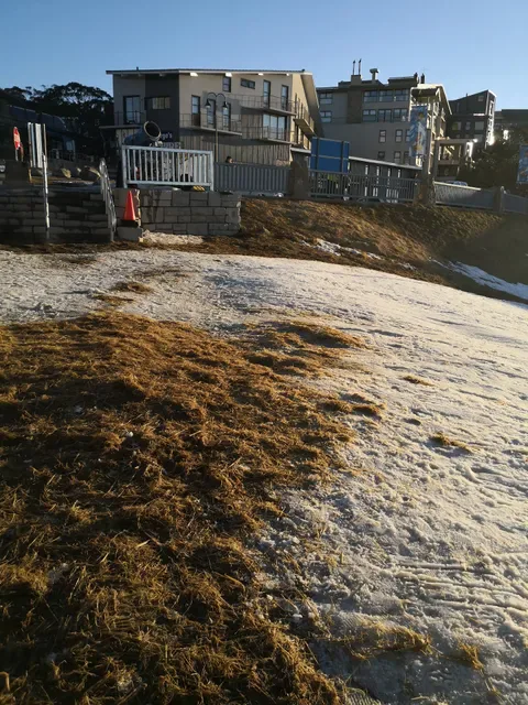 Ski Club of Victoria
