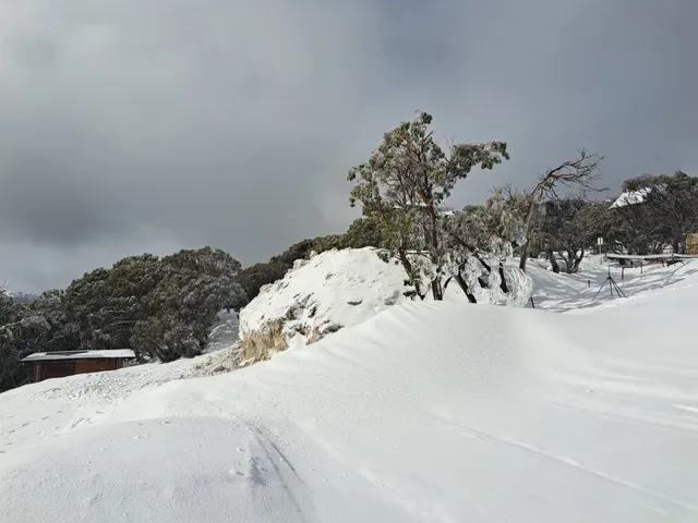 Ski Club of Victoria