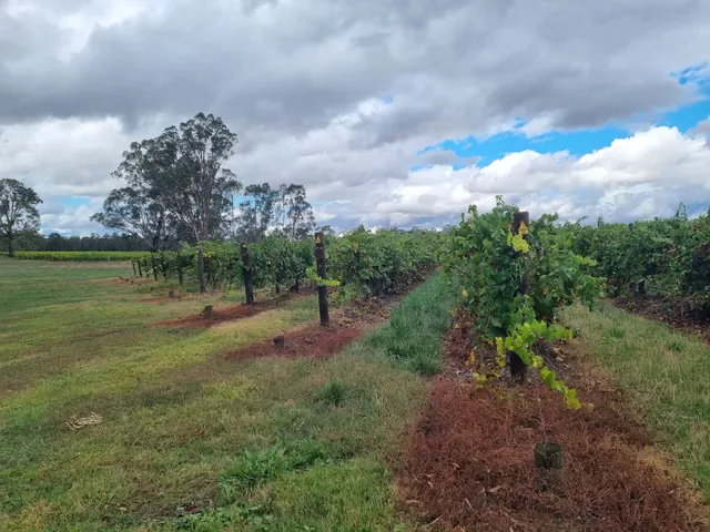 Tahbilk Estate Restaurant