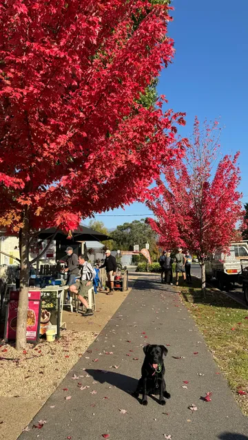 Rail Trail Cafe