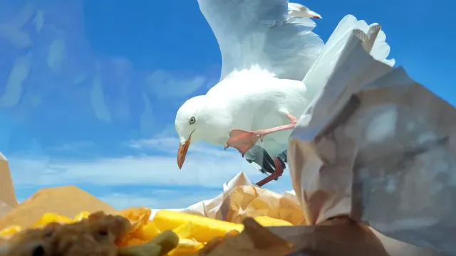 East Beach Fish and Chips