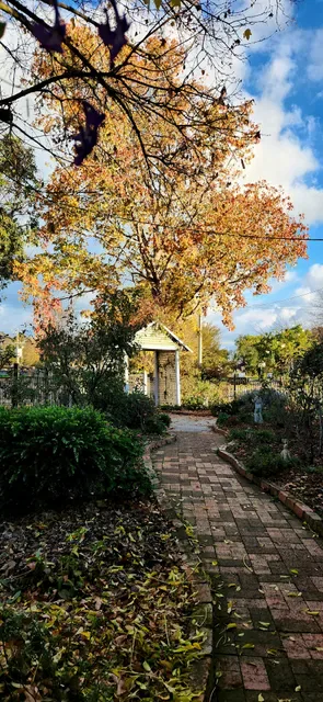 Victoria Rose & Tea Room