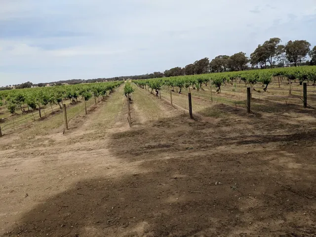 The Pavilion Restaurant at Buller Wines
