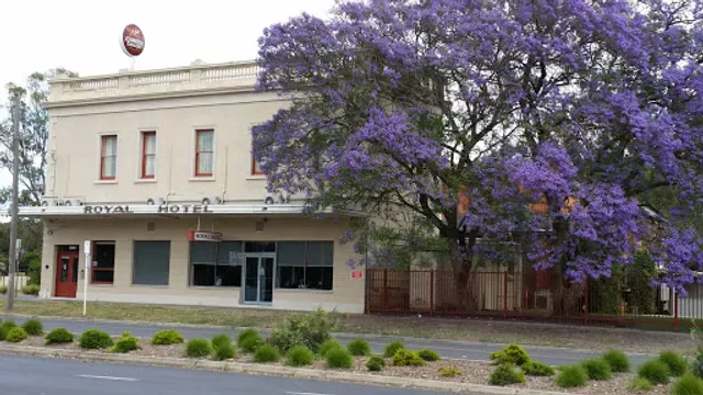 The Royal Hotel