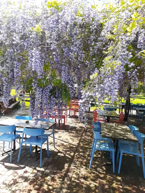 The Plough Inn Tarrawingee