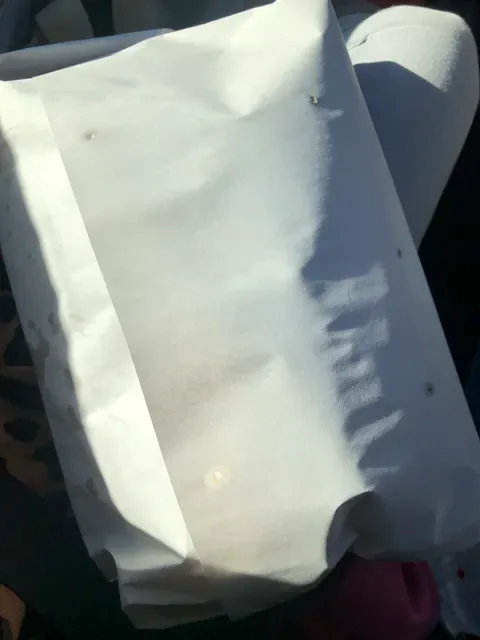 Willies Fish & Chips