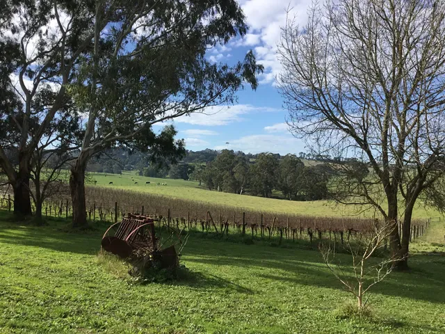 Hogget Kitchen
