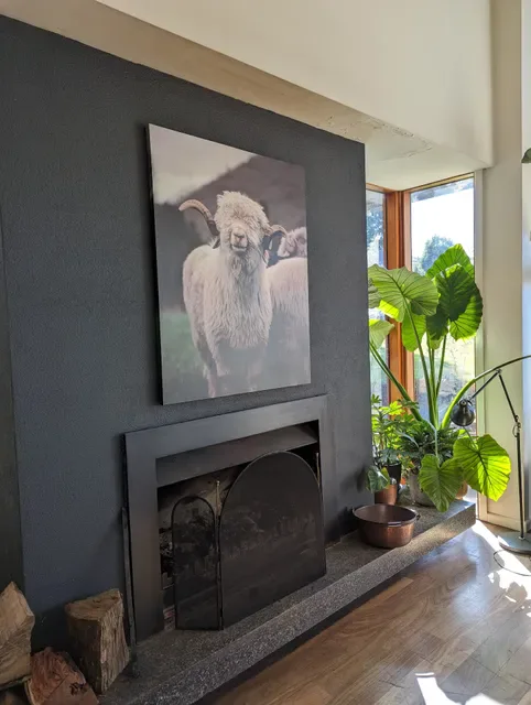 Hogget Kitchen