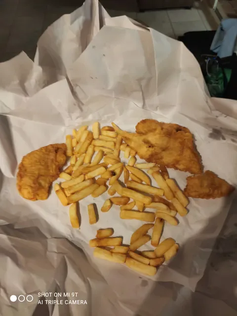 The Flying Fish