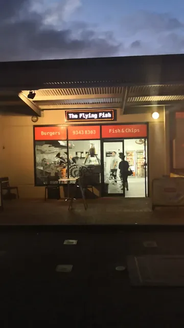 The Flying Fish