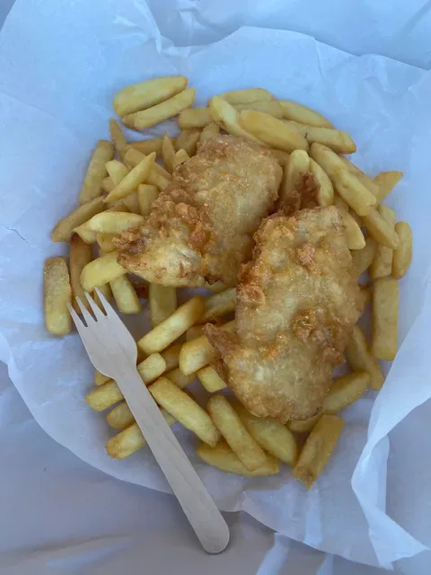The Flying Fish
