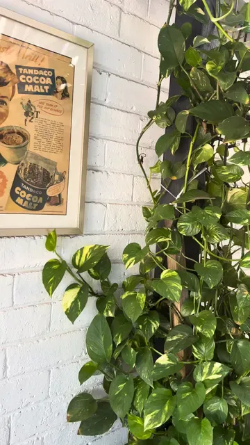 Cioccolato Espresso