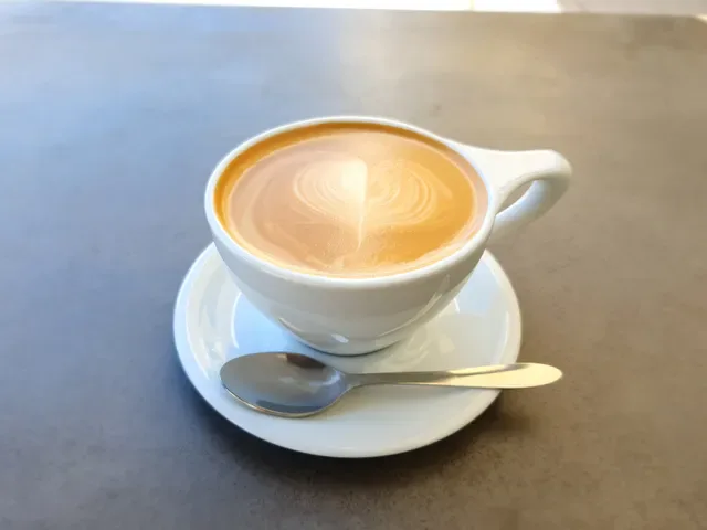Steamlab Coffee & Tea Specialist