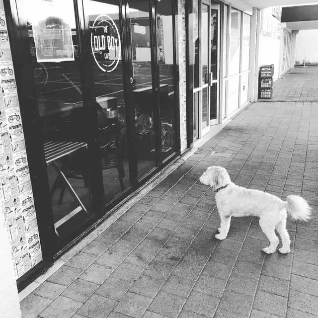The Old Boy Cafe