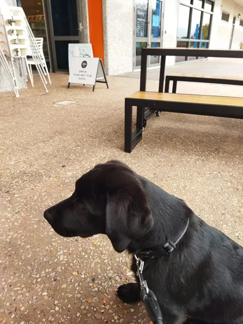 Fika on Brix
