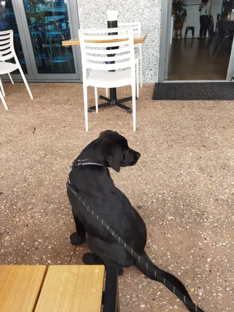 Fika on Brix