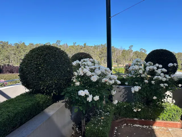 Masonmill Restaurant and Beer Garden