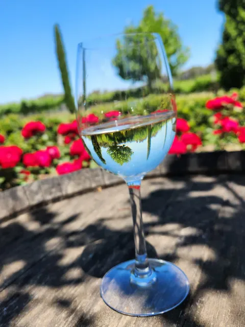 Pinelli Estate Winery Restaurant