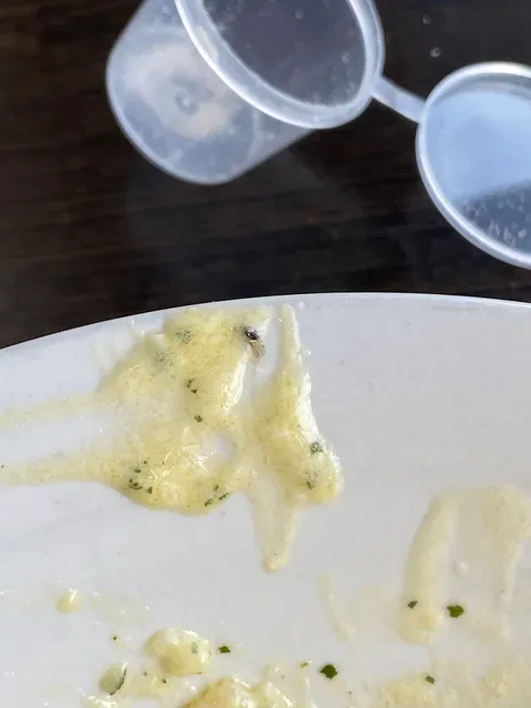 Pastacup