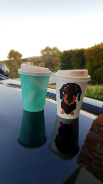Coogee Continental Deli
