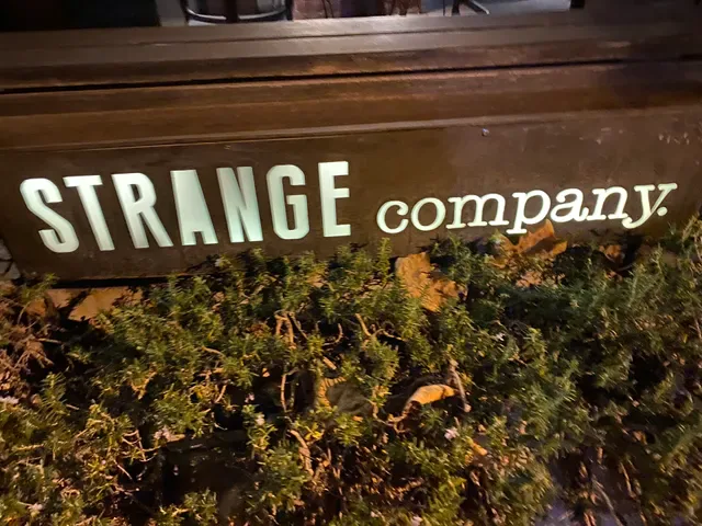 Strange Company