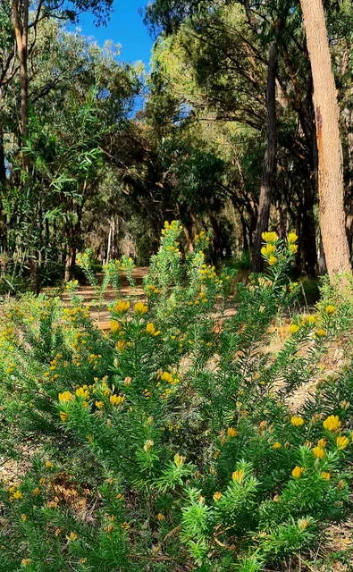 Gidgegannup Bakery & Cafe