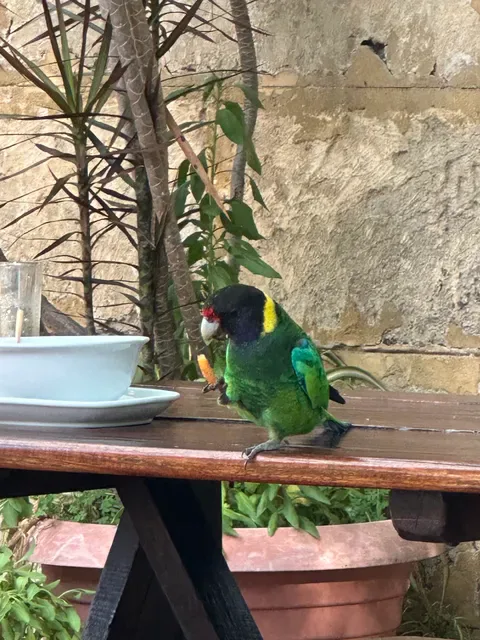 Jarrahdale Tavern & Restaurant