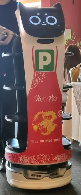 Mr Ho's