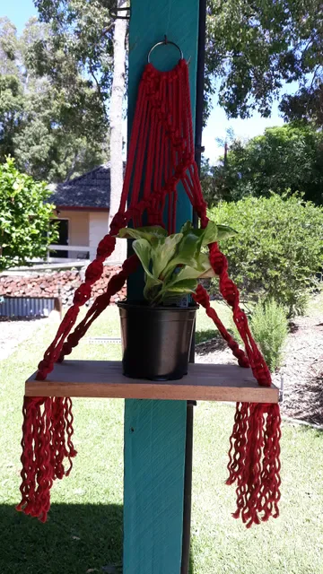 That Plant Cafe