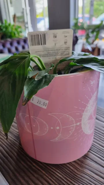 That Plant Cafe