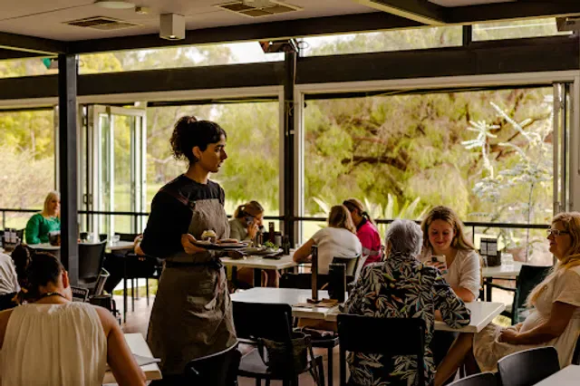 Zamia Cafe