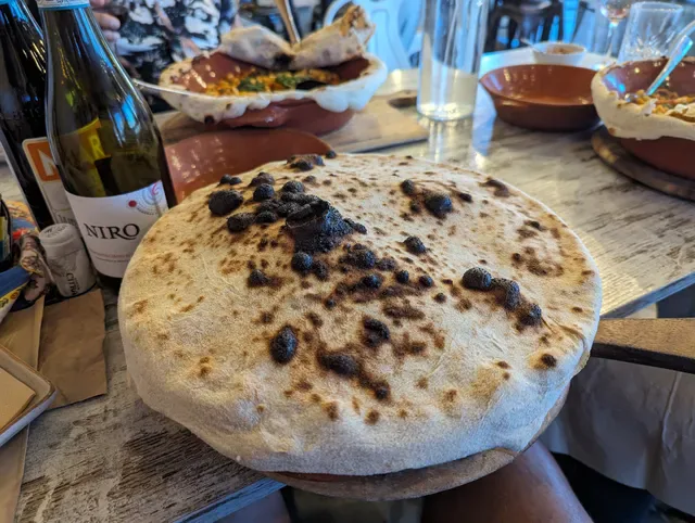 Pappagallo