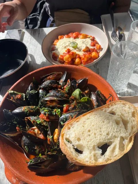 Pappagallo