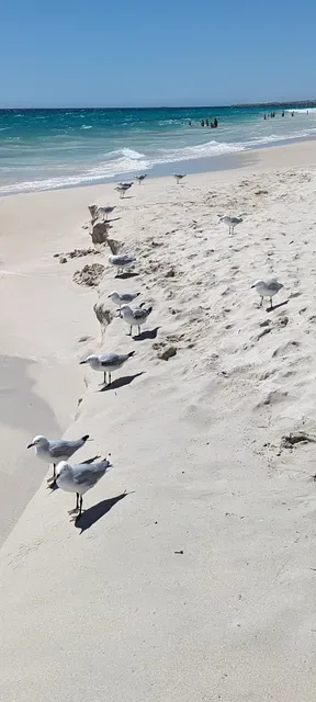 Swell Mullaloo Beach