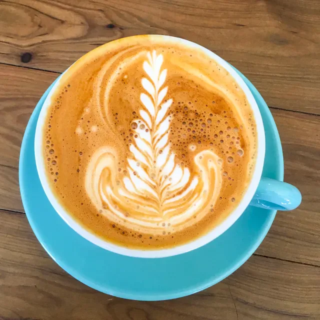 Felix & Co. Specialty Coffee