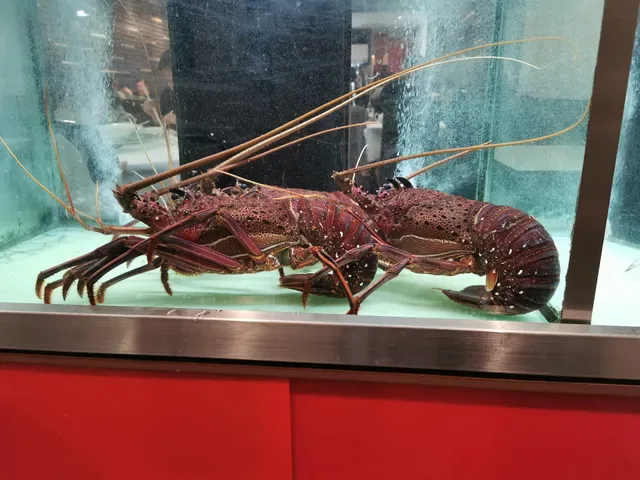 Hong Kong BBQ House